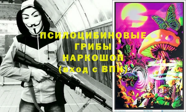 крисы Семёнов
