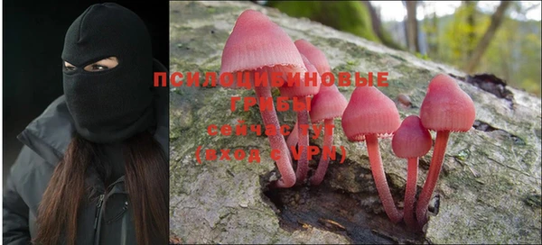 мяу мяу мука Надым