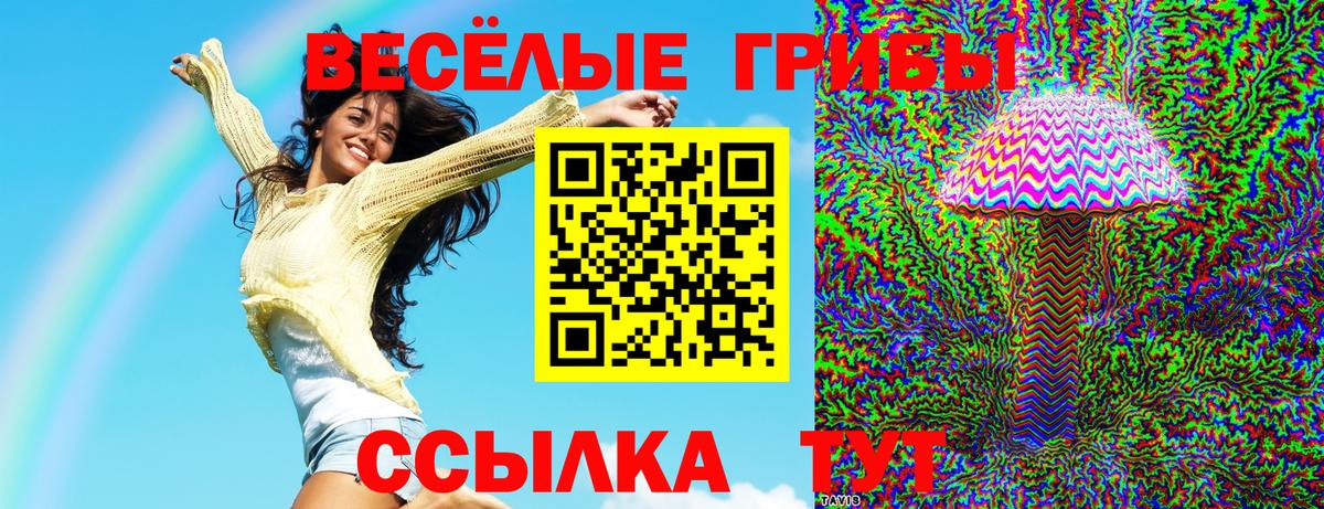 Галлюциногенные грибы Cubensis Чапаевск