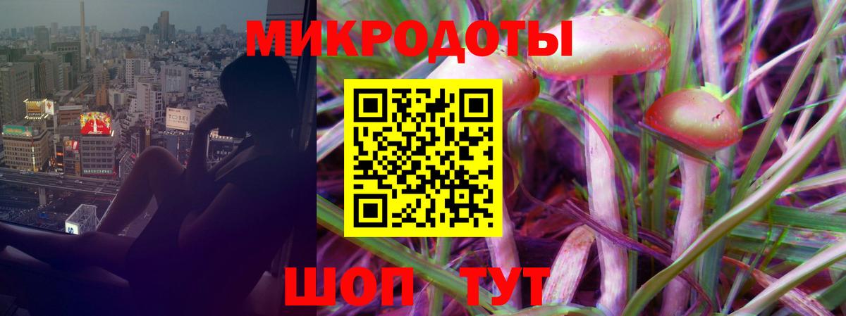 Псилоцибиновые грибы Psilocybe  Чапаевск  Галлюциногенные грибы Psilocybe 