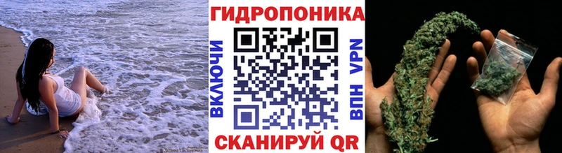 закладка  Чапаевск  Шишки марихуана конопля 